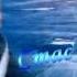 Стас Михайлов По тонкому льду