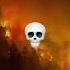Los Angeles On Fire Mastermind Fire Losangeles