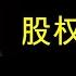 翟山鹰 什么是股权以及股权投资的要点 上