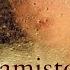 Radamisto HWV 12a Act 2 Scene 12 Duetto Se Vive In Te Il Mio Cor Radamisto Zenobia