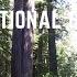 Ep 53 Redwood National Park California RV Travel Camping