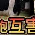 老王来了 中國毒食品大曝光 牛奶加農藥 果汁摻老鼠 中國人為何互相 投毒 千萬別碰這些東西 都是毒藥