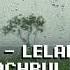 DJ LELAKI CADANGAN Fachrul A M Remix