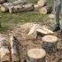 Splitting Poplar Logs Splittingfirewood Woodworking Wood