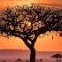 Awu Wemadoda Extended Club Mix