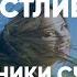 Как стать Счастливым Источники счастья и Ведическая Астрология