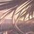 Nightcore Warriors Imagine Dragons