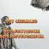 Last 2 Movies Top Low Budget Movies Get Huge Collection In 2022 Viral Shorts