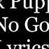 Sick Puppies There S No Going Back Lyrics