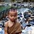 Meditation In Nature Of A Little Monk