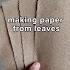 From Fallen Leaves To Useable Paper Leaves ASMR Repurpose