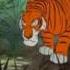 The Tiger S Stripes