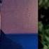 RICKY NELSON I WILL FOLLOW YOU 1963 VIDEO IN COLOUR