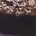 Фауна Чёрного моря Каменный краб Eriphia Verrucosa 09 Black Sea Fauna Crabs