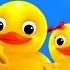 Five Little Ducks Counting Nursery Rhymes For Babies By LittleBabyBum ABCs And 123s