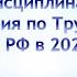 Проф Про Выпуск 4 дисциплинарные взыскания по Трудовому кодексу Российской Федерации в 2020 году