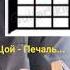 В Цой Печаль