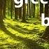 Simon Garfunkel Leaves That Are Green Live With Lyrics