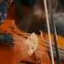 YAO String Players Perform Shostakovich Chamber Symphony Op 110a II Allegro Molto