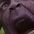 GTA V SHE HULK KILL THANOS Shorts