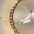 ஜ Googoosha I M Alive ஜ
