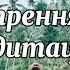 Утренняя медитация женская энергия
