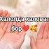 Xalolda Muxabbat Bor Xalolda Xalovat Bor