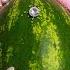 ASMR Makeup On Watermelon No Talking