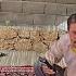 Mehdi Kobra Saman Each On New Paths Will Kobra Become A Bride Will Saman Also Be Successful