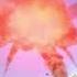 Massive Bomb On A Rocket Shorts Gmod