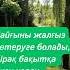 Әсерлі әңгімелер Ангимелер жинагы Өмір туралы нақыл сөздер