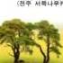커피시인 윤보영시인의 일상에서 감성시 쓰기 기초
