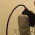 BEAUTIFUL SONG BY DIANA ANKUDINOVA VIBES