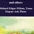 The Fairy Tales Of Ireland