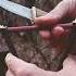 Bushcraft Life Hacks How To Safely Sharpen A Knife Using Ruby Ceramic Musat Bushcraft Shorts