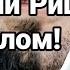 Фазилати гузоштани Риш Абу Абдуллохи Мутаваккил рахматуллохи ъалахи