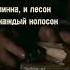 Сергей Бодров брат музыка кино фильм стрингер бодров