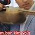 Og Abek NazarovKIM BOR KIM YO Q YANA BAHOR KELGUNCHA Jonlinavolar Rek Jonliijroqiroli Music Live