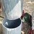 Casing Pipes Setting Borewell Point Boewell Filter Pipe Installation Borewell Water Amazing Water
