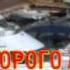 Прогулка по Одессе