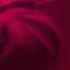 Vega Vincent Ist Da Nero Intro