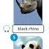 Excel 8 Module 6 Endangered Animals
