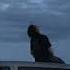 Ozone Chase Atlantic Sped Up