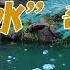 潭水终日冒泡 且水中只有植物不见动物 这是怎么回事 水下谜团 沸水 奇潭 20220217 地理 中国 CCTV科教