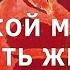 Какой может быть жизнь во Вселенной