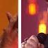 Adam Lambert Who Wants To Live Forever Polar Music Prize TV4