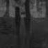 The Unforgiven