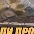 ВАЛАКАС И ДЕН ИГРАЮТ НА САМООТСОС В ЗОМБУ PUBG