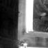 Swing De Paris 1 Jean Sablon Sur Le Pont D Avignon Swing Version 1939