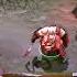 Pudge Фразы передвижения